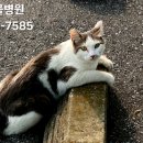 표선동물병원 이미지