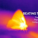 작은날개2 이미지