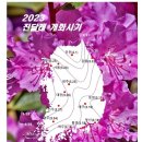 2023 봄꽃 개화시기 이미지