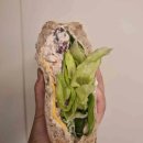 신세계I어린이집 이미지