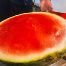 샤인힐펜션 이미지