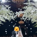 라플레르 이미지