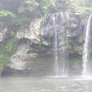 천지연폭포 이미지