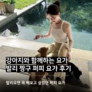 발리 | 발리 짱구에서 강아지랑 요가를? 직접 해본 퍼피요가 퍼피요가 발리 후기
