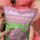 까까로운 | 나에겐 죄책감 없는 당이 필요하다 GS25 랩노쉬 로우슈거 딸기 초코렛타 냠냠후기