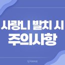 라은치과의원 이미지