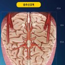 이구현한의원 이미지