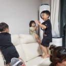 (주)여우리 이미지