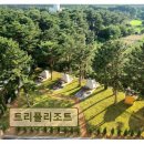 <양양 펜션 추천> 트리플리조트 품격 있는 바다 전망과 쾌적함