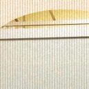 본연의 회복(절대적 이미지