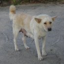 두이농장 이미지