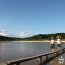 무섬마을 이미지