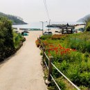 길나들이민박 이미지