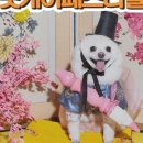 댕이몰