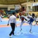 정선태권도체육관 이미지