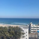 스테이하몽 이미지