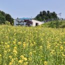 종일목장 이미지