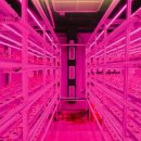 남부농장 이미지