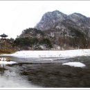 월류정 Daum카페
