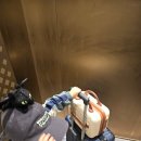 장수고기나라 | 중국 주재원 일상) 충칭 근교 장수구 1박 여행을 다녀왔습니다