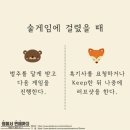 곰여우