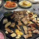 조선도야지 이미지