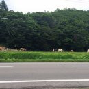 소마일농장 이미지