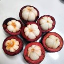 열대과일 망고스틴 택배배송 시골청년 후기