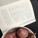 도진상사 | 상사의 폭언에 참지않고 들이받은 썰 (직장내 괴롭힘 대처 방법)