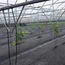 금형농장 이미지