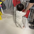 우석농장 | 우리의 낭만은 하나뿐인 꽃말이 될 거야