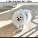 도그앤조이(Dog&Joy) 이미지