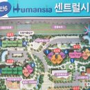 봉명로 이미지