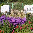 금성교회 뒤