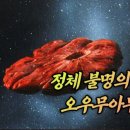오우무아무아 이미지