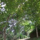 바우덕이(김암덕)묘 이미지