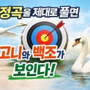 정곡 Daum카페