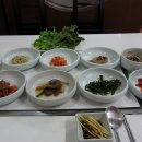 무등산민물장어 Daum카페
