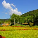 용천사입구 이미지