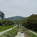 대학뮤직랜드 | &#39;25.4월(2) 비 온 후 테니스, 다른 일을 하는 사람들, 러너스 페스티발, 겸재 정선전, 회사 분들과 밥...