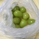 원진복어 | 27세 1월