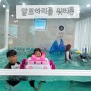 알로하리틀 독채별장 워터룸 뽕뽑고 놀고 온 후기