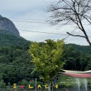 라온축산 이미지