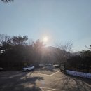 좌구산자연휴양림 | 주말 당일치기 충북여행/아이랑 좌구산자연휴양림 출렁다리 다녀온 후기