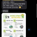 행복한 꼬마 거북이 이미지
