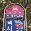 당일치기 데이트 코스 / 보리밥먹고 수덕사 산책 , 예당호 모노레일🎢, 출렁다리 야경, 분수쇼 🌉 , 응봉상회