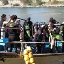 행복한해적 이미지