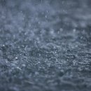 철이헤어샵 이미지