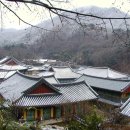 송광사 이미지