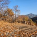 달사랑